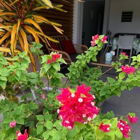 Le Tropical Appartement 1 Ou 2 Chambres 레 장세-다르레 외부 사진