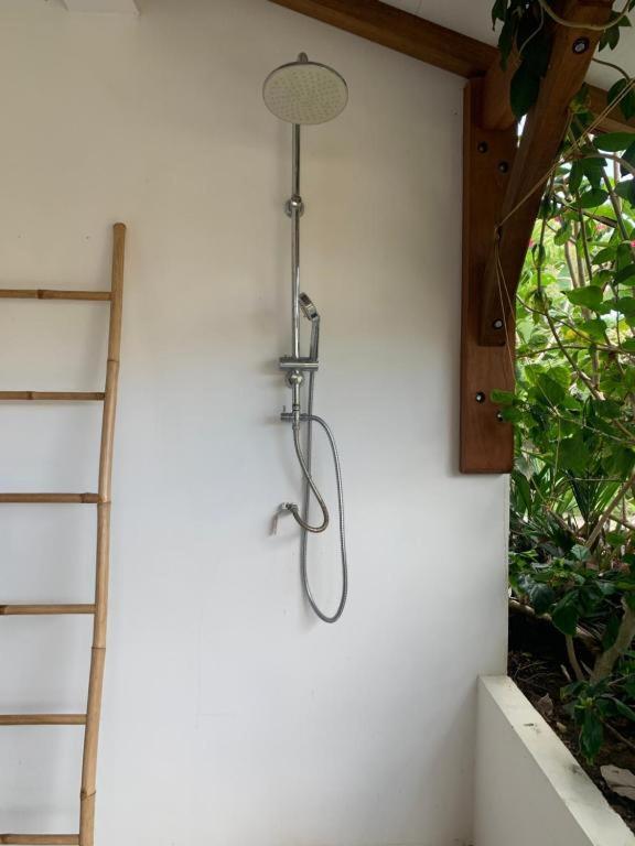 Le Tropical Appartement 1 Ou 2 Chambres 레 장세-다르레 외부 사진
